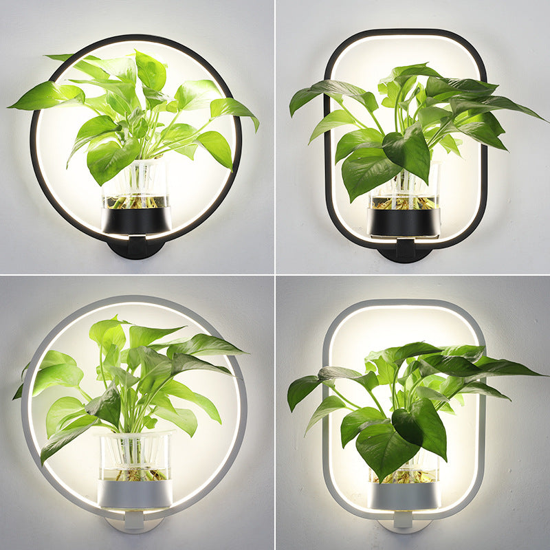 Lampe décorative avec plante