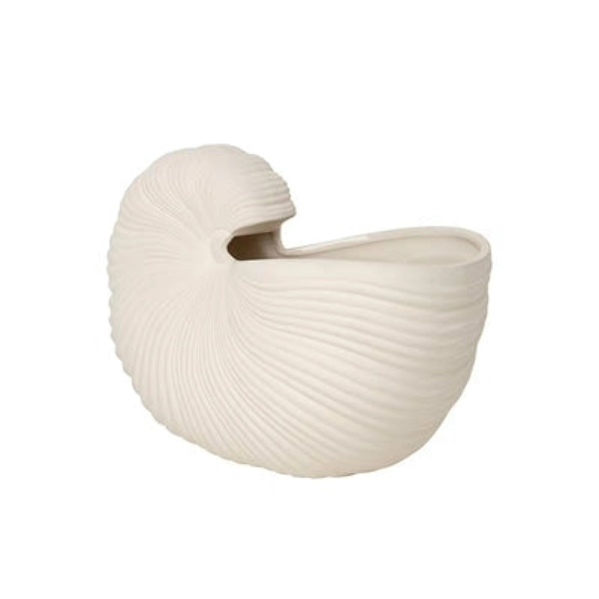 vase coquillage blanc