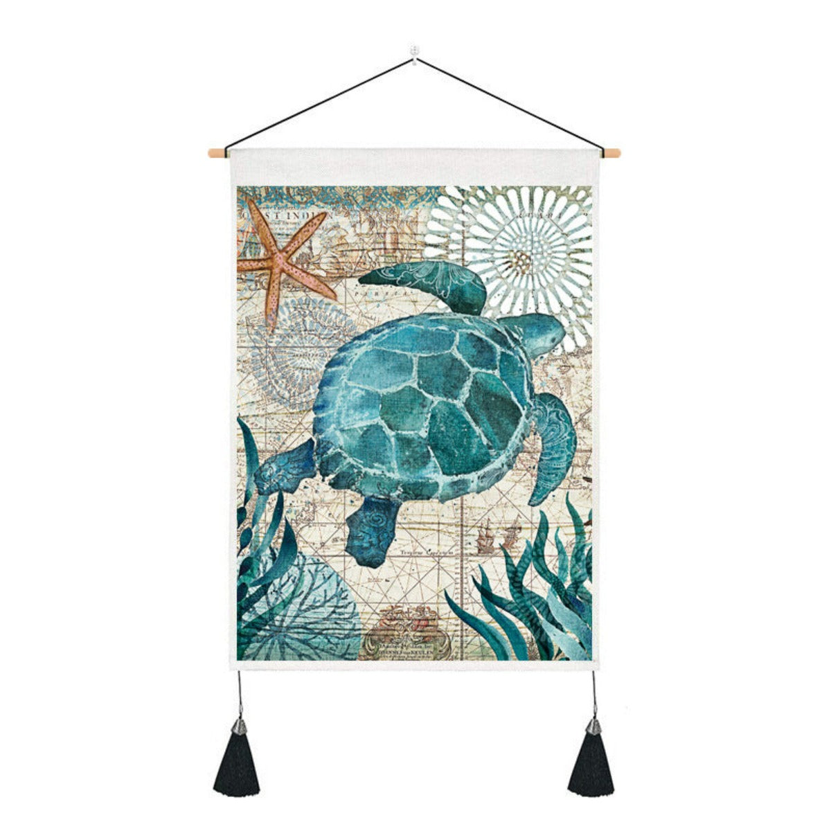 toile tortue