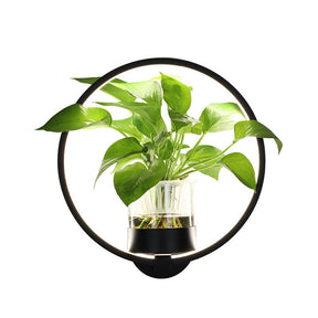 Lampe décorative avec plante