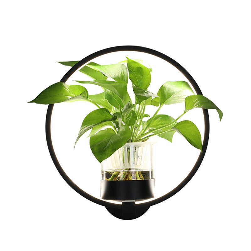 Lampe décorative avec plante